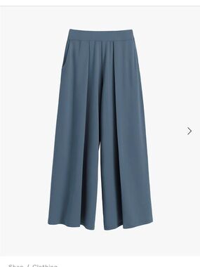Cuyana French terry cotton pleated wide leg pants. XL